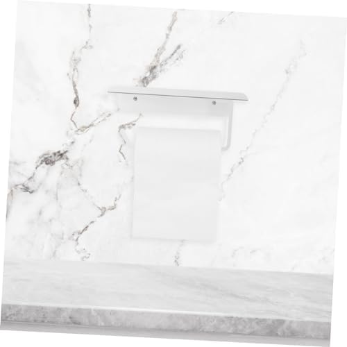 HOMSFOU Silver Metal Toilet Paper Holder Wall Organizer