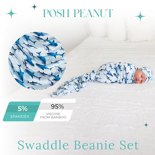 Posh Peanut Swaddle Blanket Beanie - Sharks Pattern