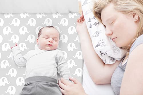 Cambria Baby Organic Cotton Crib and Bassinet Sheets Bundle