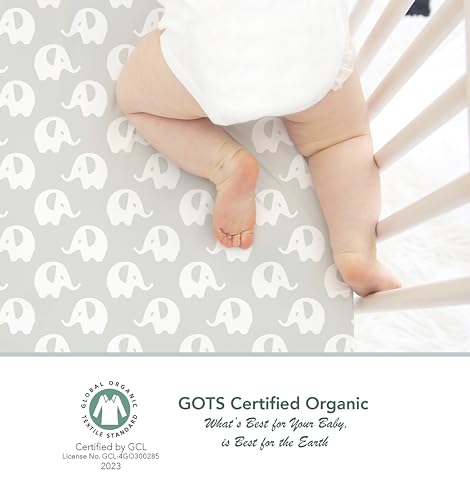 Cambria Baby Organic Cotton Crib and Bassinet Sheets Bundle