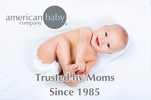 American Baby Company Heavenly Soft Chenille Mini Crib Sheet 24 x 38