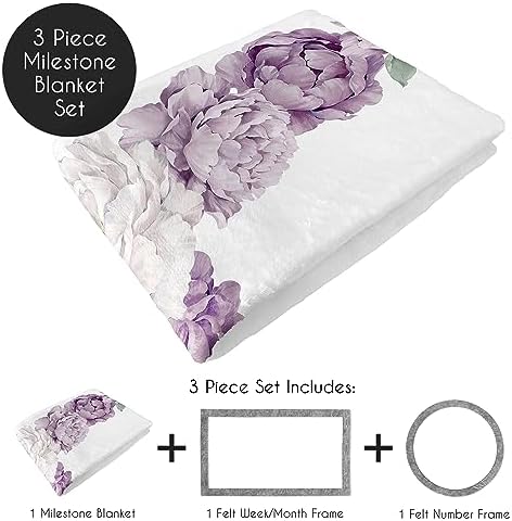 Sweet Jojo Designs Boho Floral Milestone Blanket Set